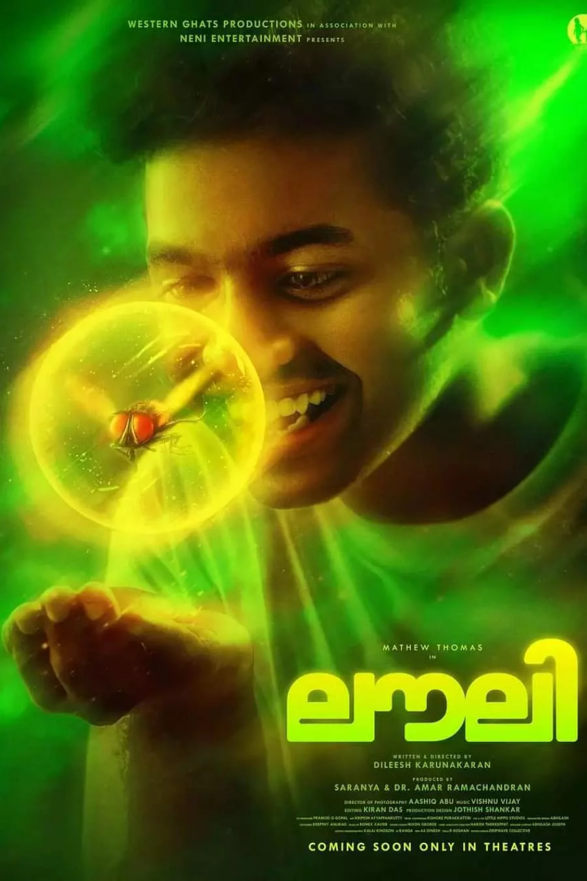 小蝇归来封面图