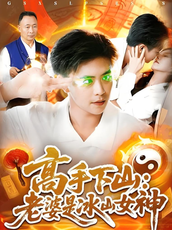 高手下山老婆是冰山女神