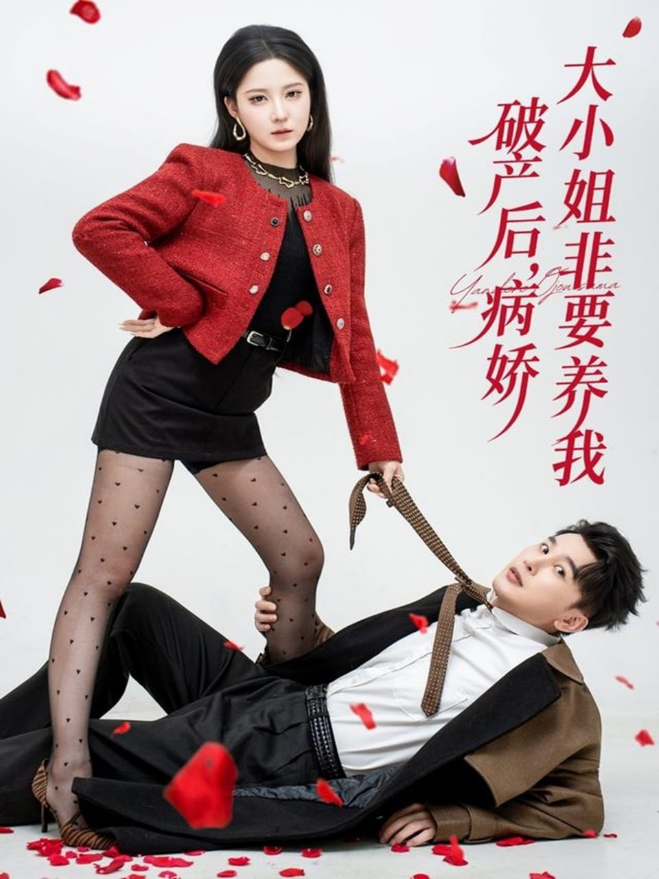 破产后病娇大小姐非要养我