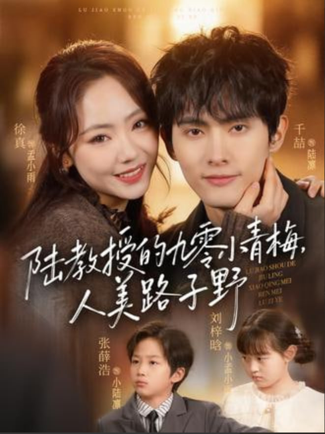 陆教授的九零小青梅，人美路子野