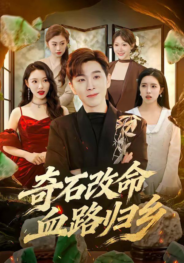 奇石改命血路归乡