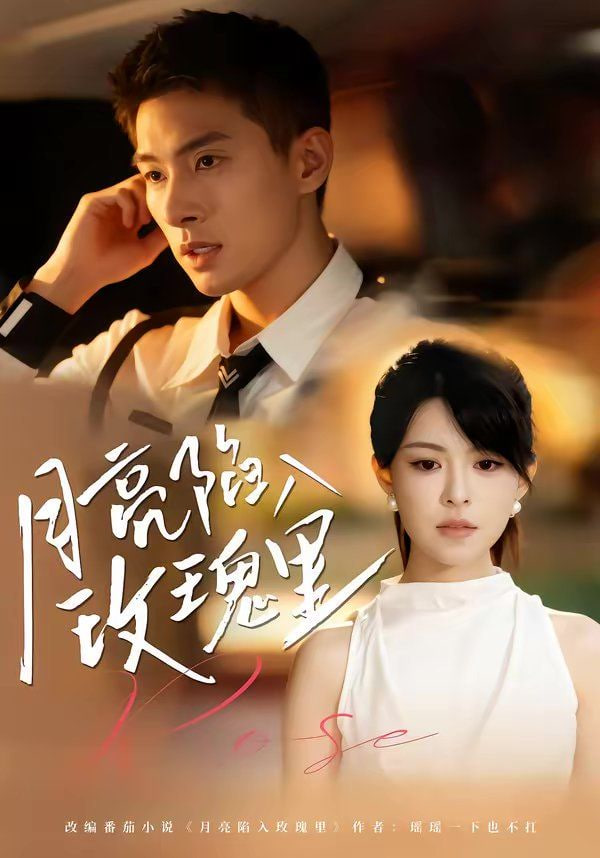 月亮陷入玫瑰里