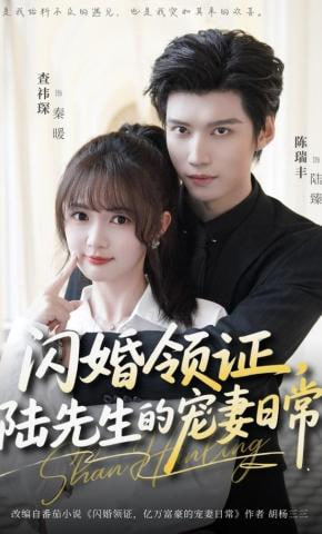 闪婚领证，陆先生的宠妻日常